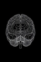 outline of human brain on black background