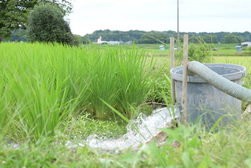 田んぼに水を注水する様子