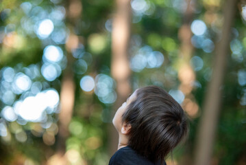 森の木漏れ日を見上げる子供