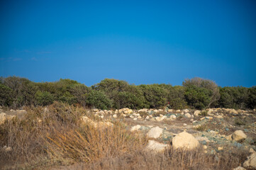 The beautiful Lady's Mile Limassol in Cyprus