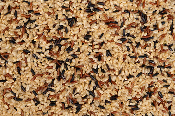 Mix of white, red and black rice, top view, close up