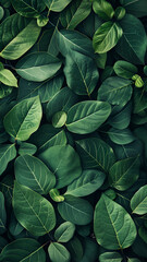 green leaves background