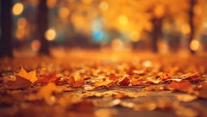 Bokeh autumn leaves. Fall blurred background orange color. Fall nature. Blurred bokeh background. Autumn defocused nature. Blur backdrop of autumn leaves. Unfocused colorful season. Bokeh lights