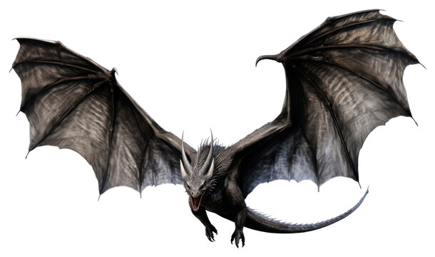 PNG Black dragon animal wing white background.