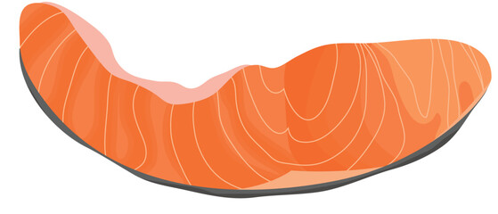 Fresh Raw Salmon Filled Vector Illustration