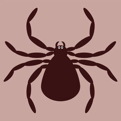 Spider icon, black widow silhouette. Halloween animal symbol, arachnid sign, bug pictogram, spider icon isolated
