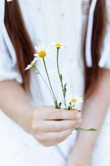 daisies in the hands of a girl, photo without a face, close-up