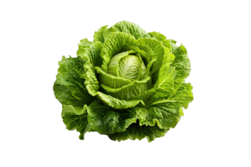 I Love Lettuce (JPG 300Dpi 10800x7200)