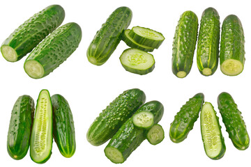 Cucumber, fruit realistic Illustration. Realistic PNG file. Mockup template for artwork graphic design