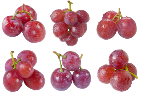Purple Grape, fruit realistic Illustration. Realistic PNG file. Mockup template for artwork graphic design