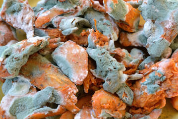 Fungus on cooked chicken meat