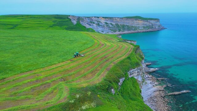 Tractor mowing the grass in the area of ​​Punta Ballota on the coast of Tagle. Aerial view from a drone. Arnuero Municipality. Cantabrian Sea. Cantabria. Spain. Europe