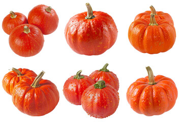 Realistic photo illustration of Pumpkin, isolated on transparent background