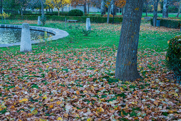 OTOÑO EN EL PARQUE DE PIEDRAHÍTA ÁVILA CASTILLA OTOÑO ESPAÑA 2023