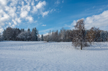 Winter landscape with a lot of snow, some trees and a blue sky