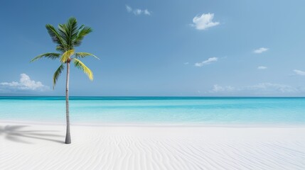 Fototapeta premium Elegant palm tree on a white sandy beach, clear blue sky with scattered white clouds, calm sea in the background, fitting for summer vacation and travel ads