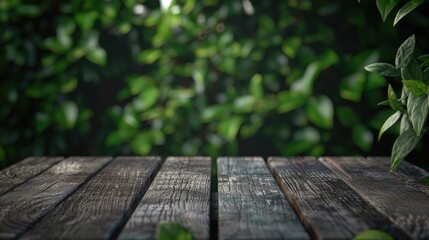 Fototapeta premium A wooden table with a green plant growing in the background