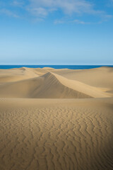 sand dunes in the desert