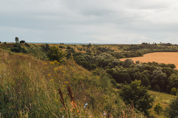 view of the countryside fields and forest Russia