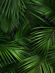 tropical palm pattern
