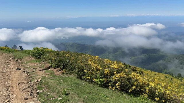 Panoramic aerial view to high mountains, meadows with wildflowers and clouds covering valley. Mountain resort above the clouds. Highland landscape of Gomismta, touristic landmark in the Georgia. 4K