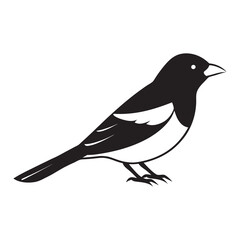 tanager vector illustration flat style black silhouette