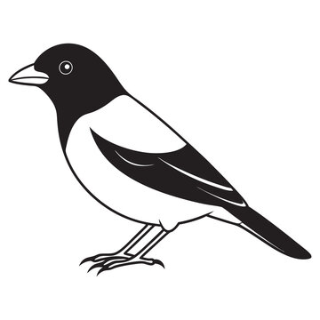 recommend clip art: tanager bird silhouette black icon