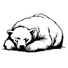 Sleeping Polar Bear