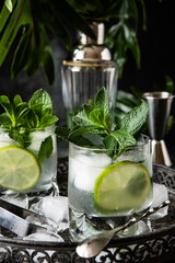 Refreshing drink   with citrus, tonic and ice, holidays party concept