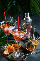 Summer  cold cocktail with citrus fruit, tonic  and ice, selective focus