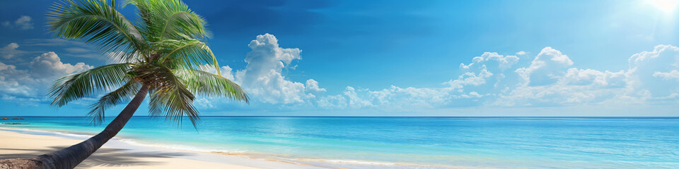 Paradise Island panorama. Tropical beach with palm tree and turquoise water.