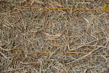 June festivities decoration and arrangements, typical Brazilian country party São João