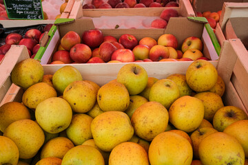 pommes sur l'étal d'un marché