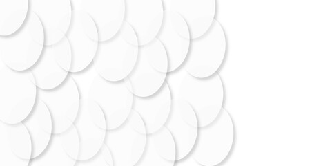 Abstract white modern transparency circle presentation background. Many beautiful bubbles on white background . Abstract white background with a lot of circles. Bubbles abstract. illustration design.
