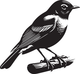 Bird  silhouette vector illustration