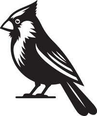 Bird  silhouette vector illustration