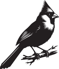 Bird  silhouette vector illustration