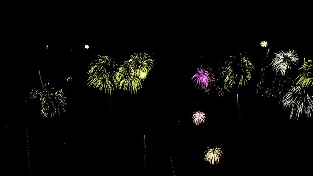 Fx cartoon firework element. Colored 2d drawn salute. Transparent background and alpha channel for celebrations, Firework for party, holi, new year, diwali, birthdays, events and celebrations 4k anima