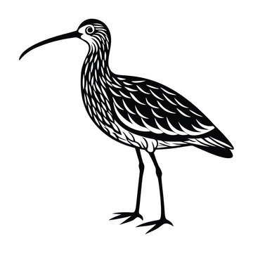 recommend clip art: Curlew Silhouette Artistic Nature Design