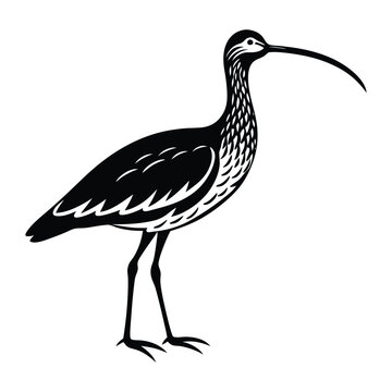 recommend clip art: Curlew Silhouette Artistic Nature Design