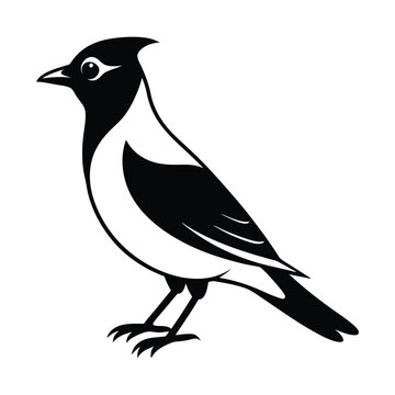 recommend clip art: Waxwing Bird Silhouette Vector Illustration
