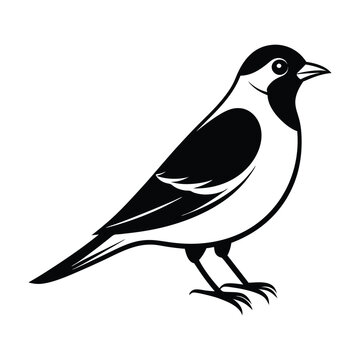 recommend clip art: Waxwing Bird Silhouette Vector Illustration