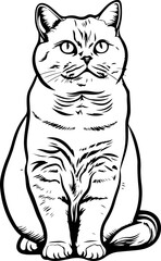 Obraz premium British cat clipart desing illustration 