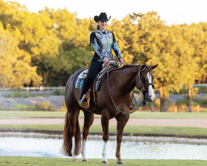 Equestrian Rider on chestnut horse with western show tack