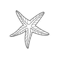 Sea star vector illustration. Line art. Printable coloring page for kids and adults