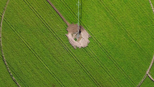 Center-pivot irrigation system on a green soybean plantation. Aerial view.