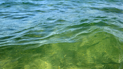 Beautiful wavy surface of clean and transparent turquoise sea water,
