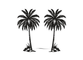 Black palm tree set vector illustration on white background silhouette art black white stock illustration