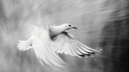 A study in motion with a birds flight frozen in a timeless black and white image. Black and white art