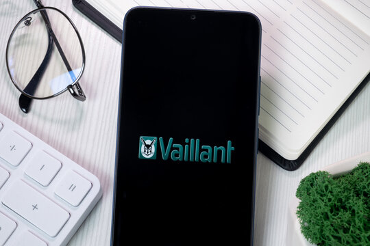 New York, USA - 21 June 2024: Vaillant Logo on Phone Screen, Company Icon
